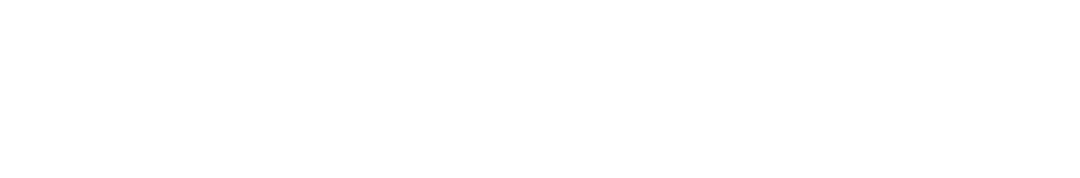 Flex Services